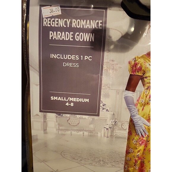 Regency Romance Parade Gown Bridgerton Costume Yellow Pink Floral Women's S/M - Picture 2 of 6